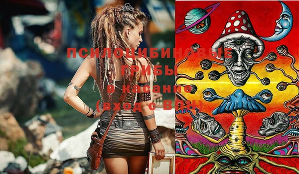 PSILOCYBIN Дмитровск